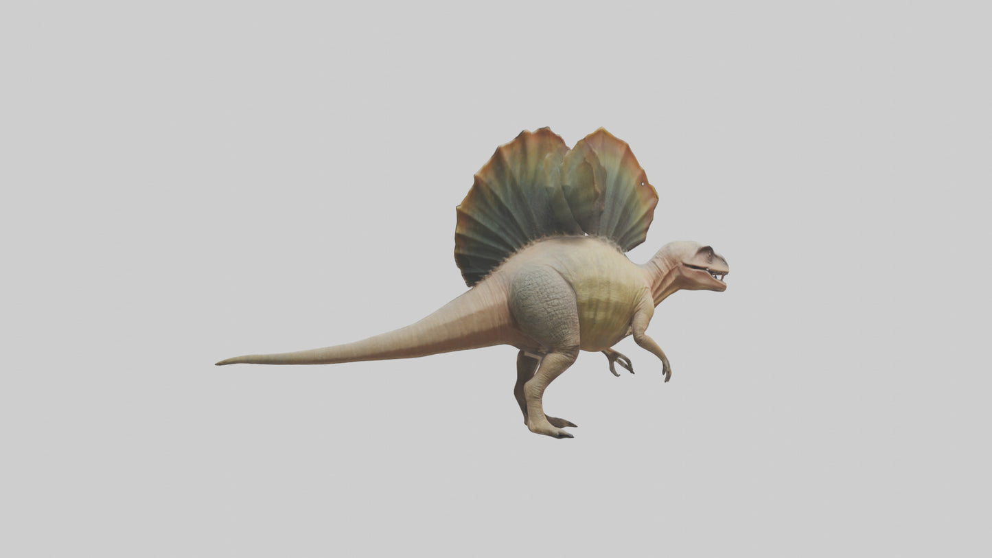 Edaphosaurus model 3D model