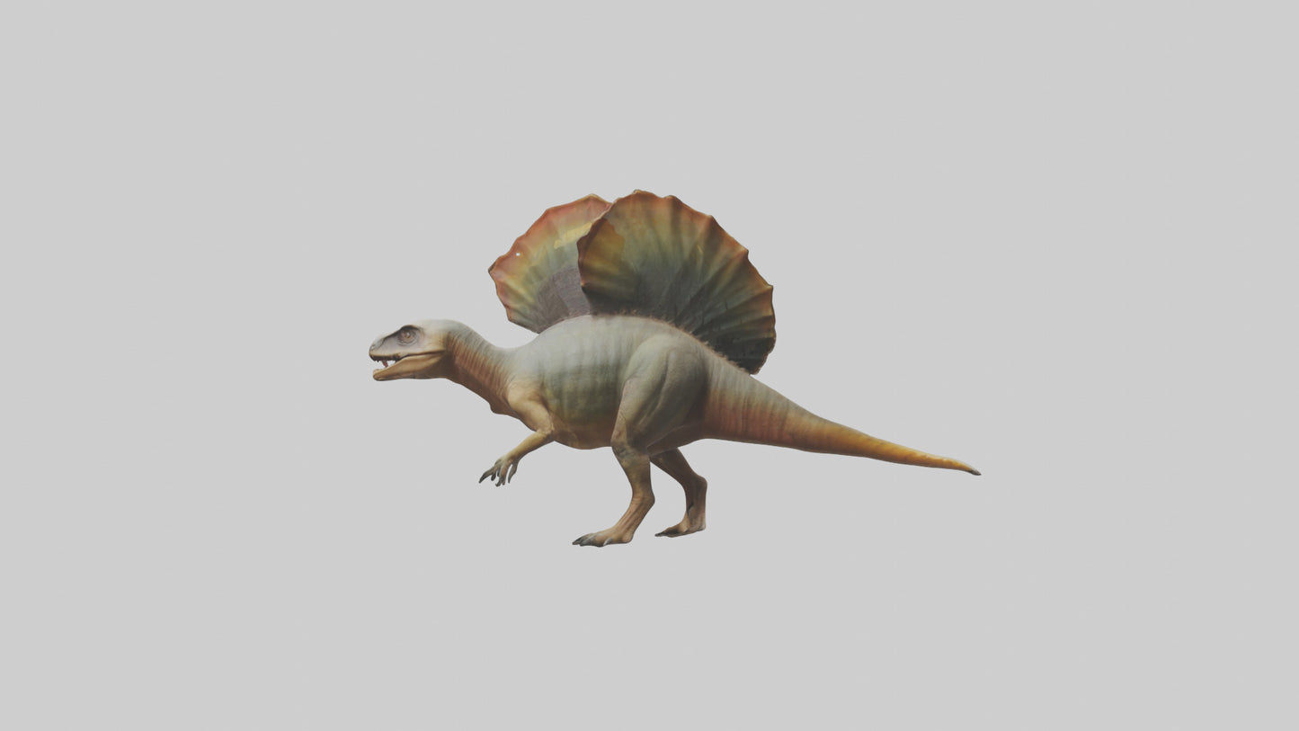 Edaphosaurus model 3D model