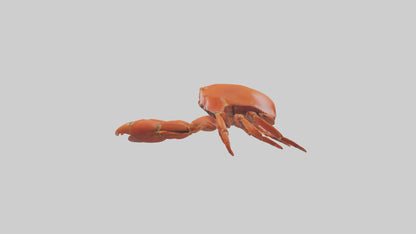 Edible Crab crawling model VR / AR / low-poly
