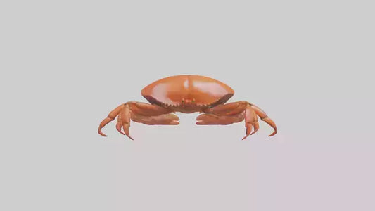 Edible Crab crawling model VR / AR / low-poly