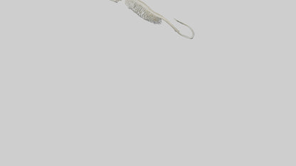 Eel Skeleton model 3D model