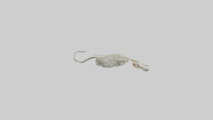 Eel Skeleton model 3D model
