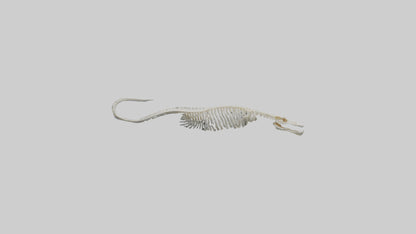 Eel Skeleton model 3D model