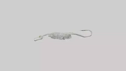 Eel Skeleton model 3D model