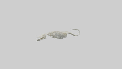 Eel Skeleton model 3D model