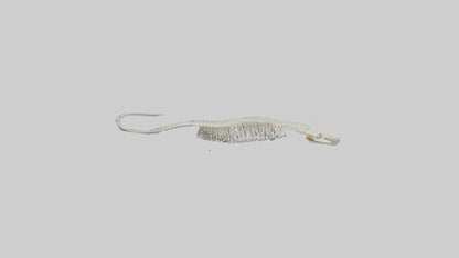 Eel Skeleton model 3D model