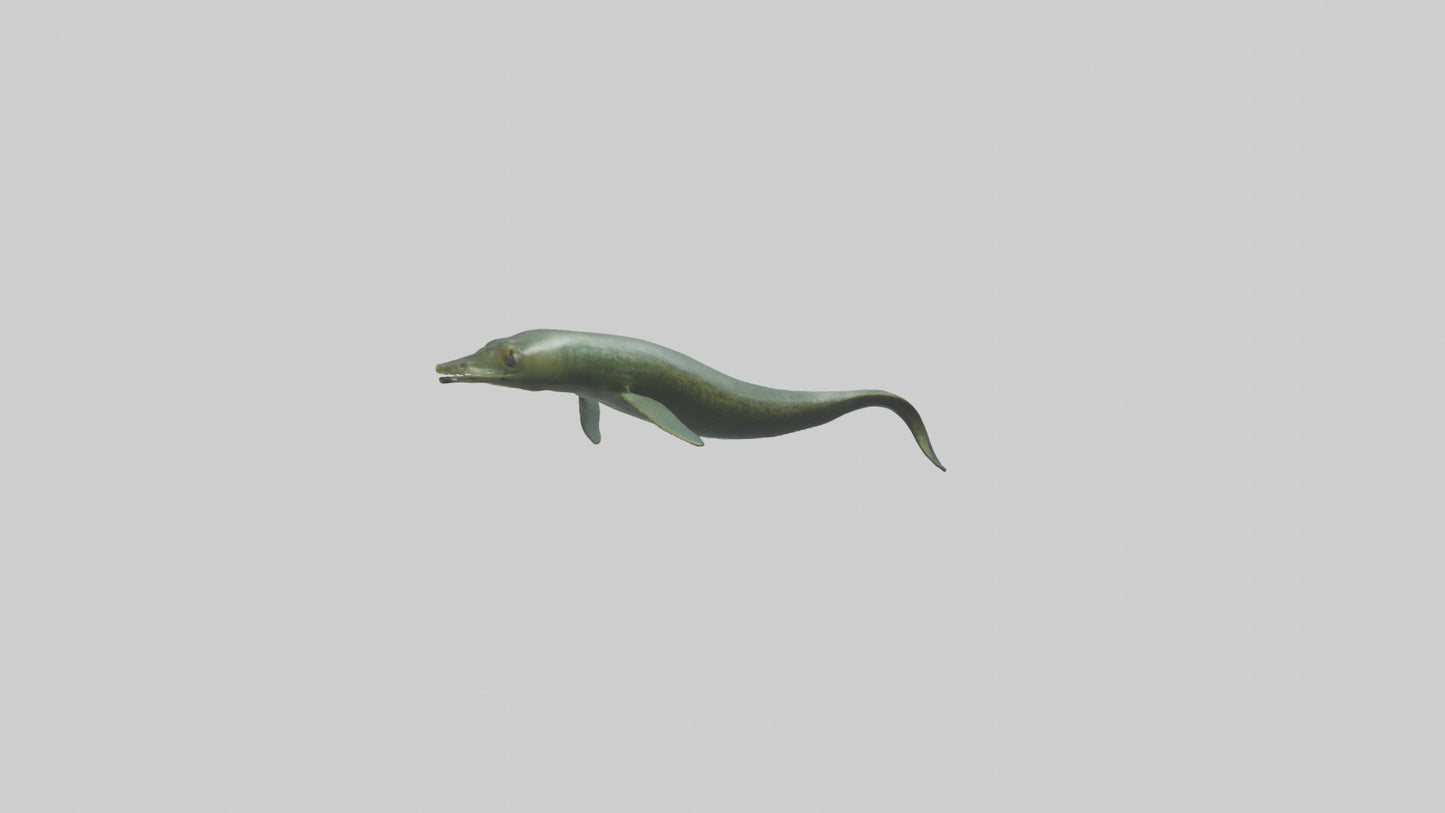 Eel swimming model 3D model