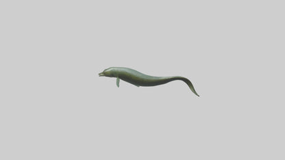 Eel swimming model 3D model