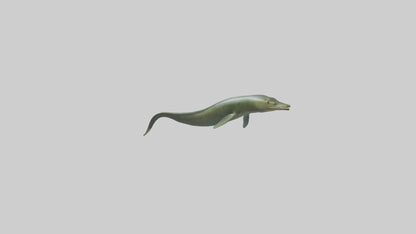 Eel swimming model 3D model