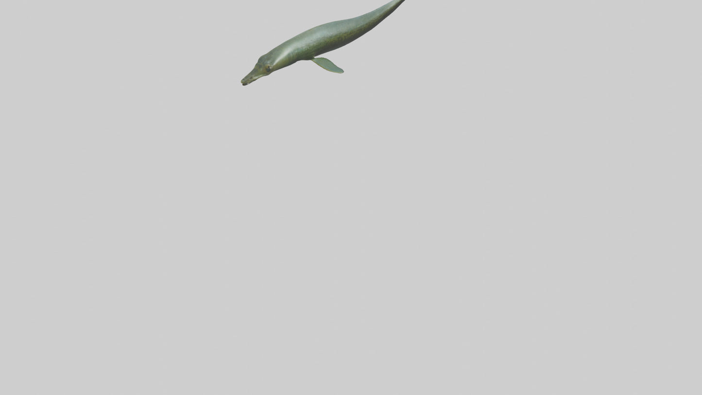 Eel swimming model 3D model