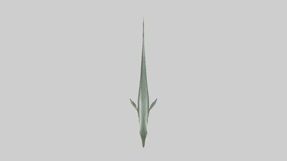 Eel swimming model 3D model
