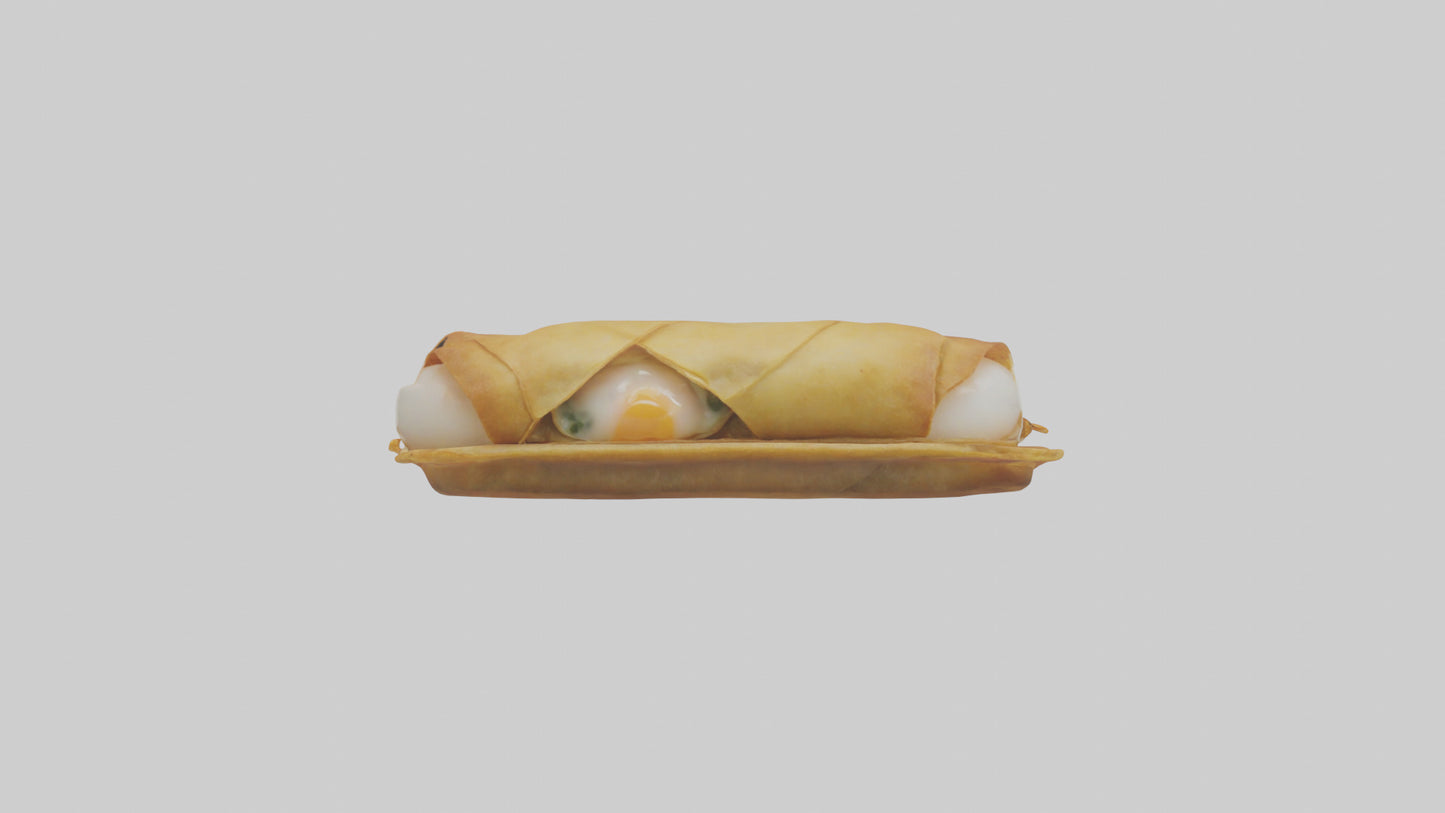 Egg roll model 3D model