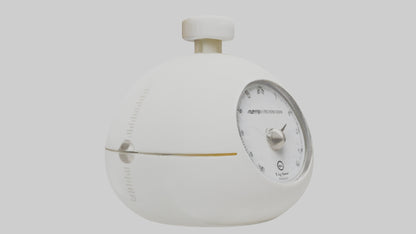 Egg Timer model 3D model