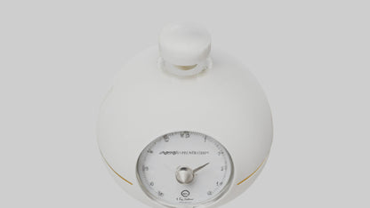 Egg Timer model 3D model