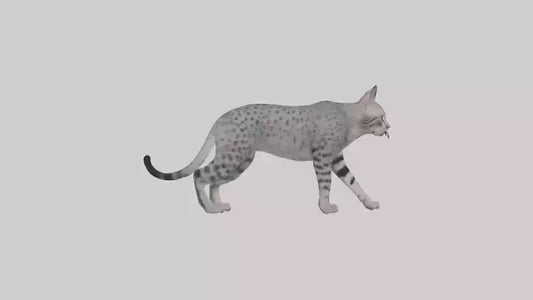 Egyptian Mau stalking model 3D model