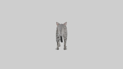 Egyptian Mau stalking model 3D model