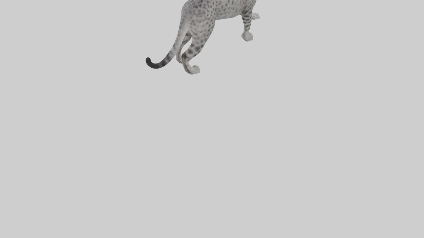 Egyptian Mau stalking model 3D model