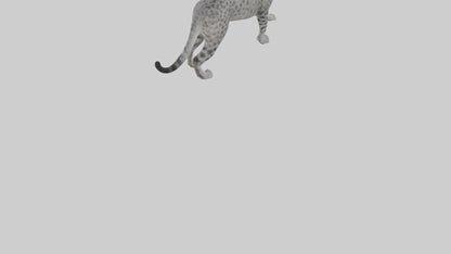 Egyptian Mau stalking model 3D model