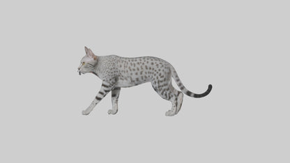 Egyptian Mau stalking model 3D model