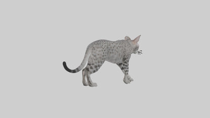 Egyptian Mau stalking model 3D model