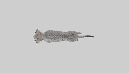 Egyptian Mau stalking model 3D model