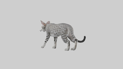 Egyptian Mau stalking model 3D model