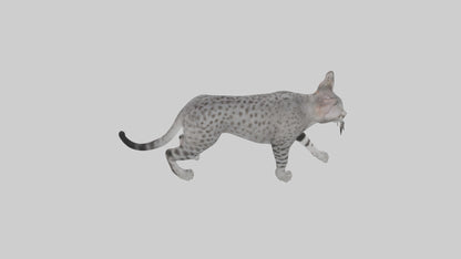 Egyptian Mau stalking model 3D model