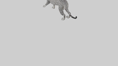 Egyptian Mau stalking model 3D model