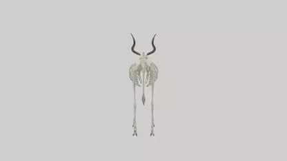 Eland Skeleton model 3D model