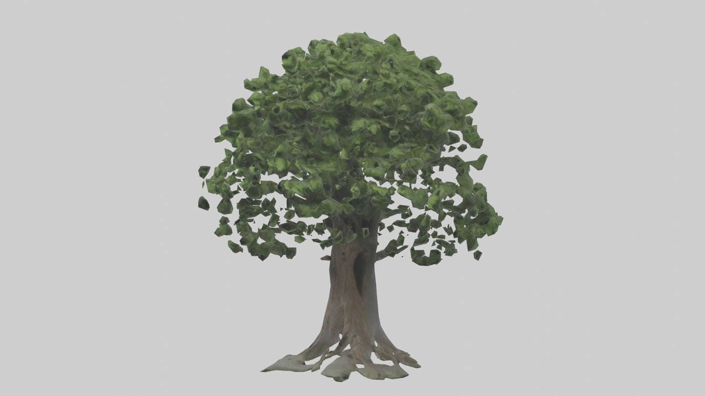 Elderberry tree model 3D model