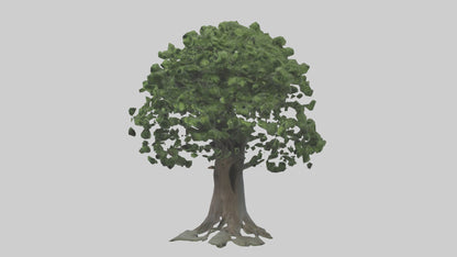 Elderberry tree model 3D model