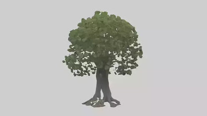Elderberry tree model 3D model