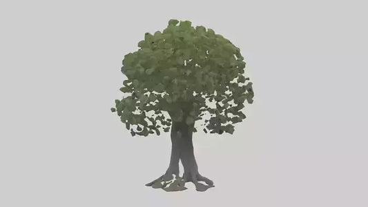 Elderberry tree model 3D model