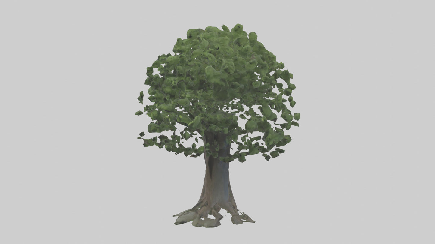 Elderberry tree model 3D model