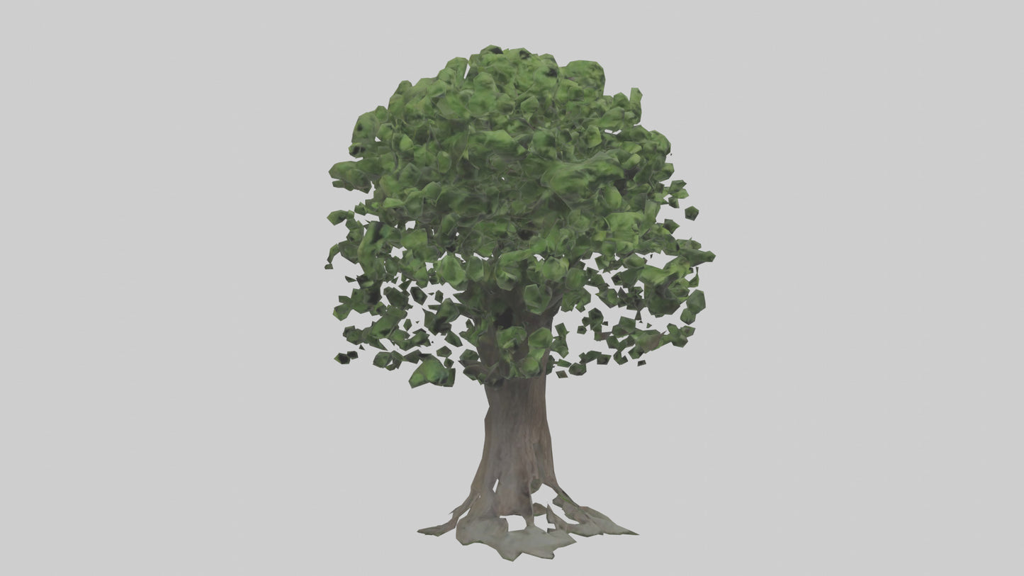 Elderberry tree model 3D model