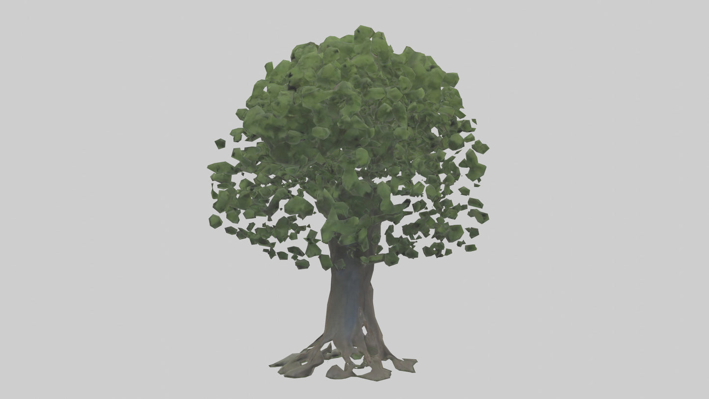 Elderberry tree model 3D model