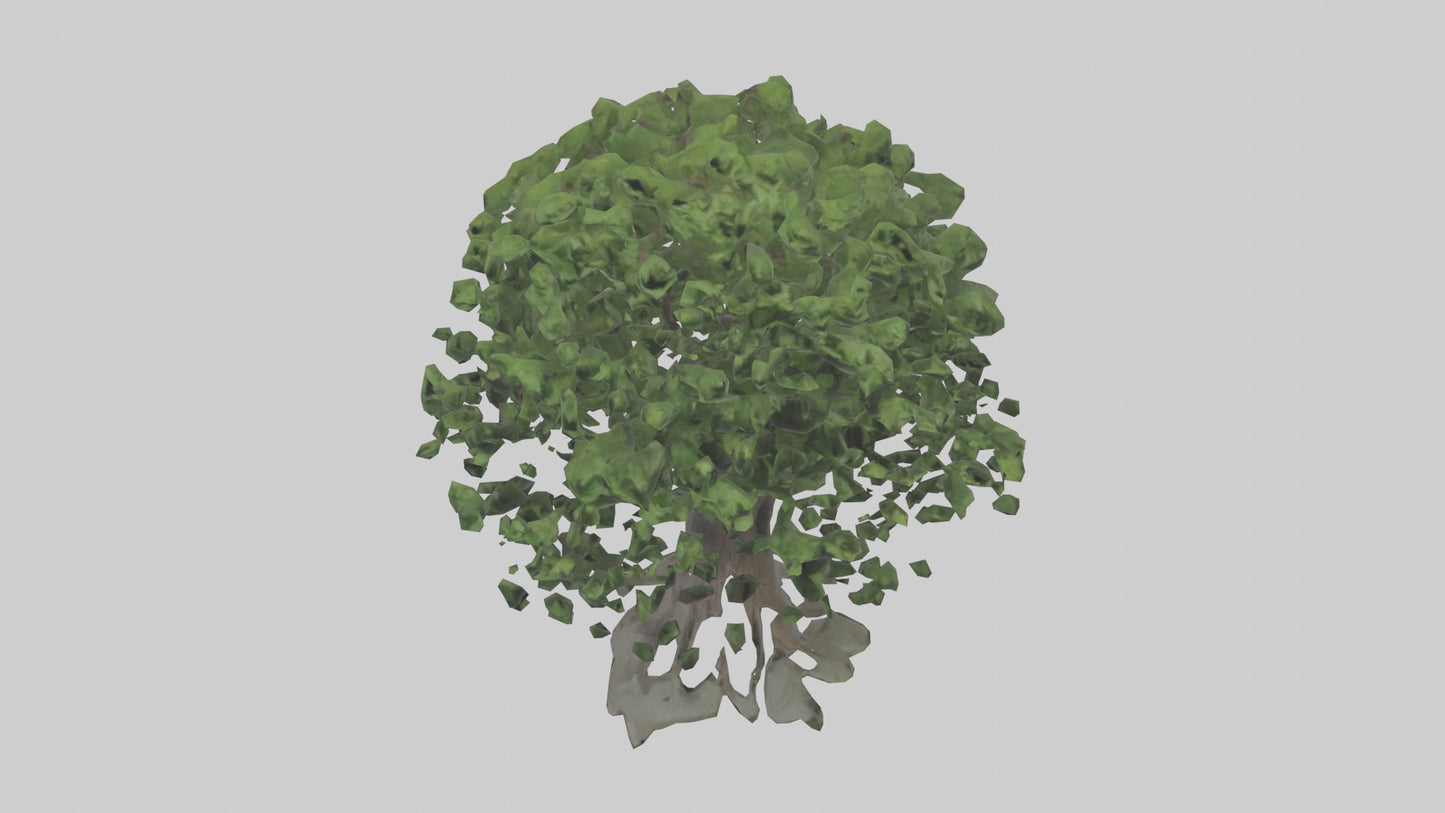 Elderberry tree model 3D model
