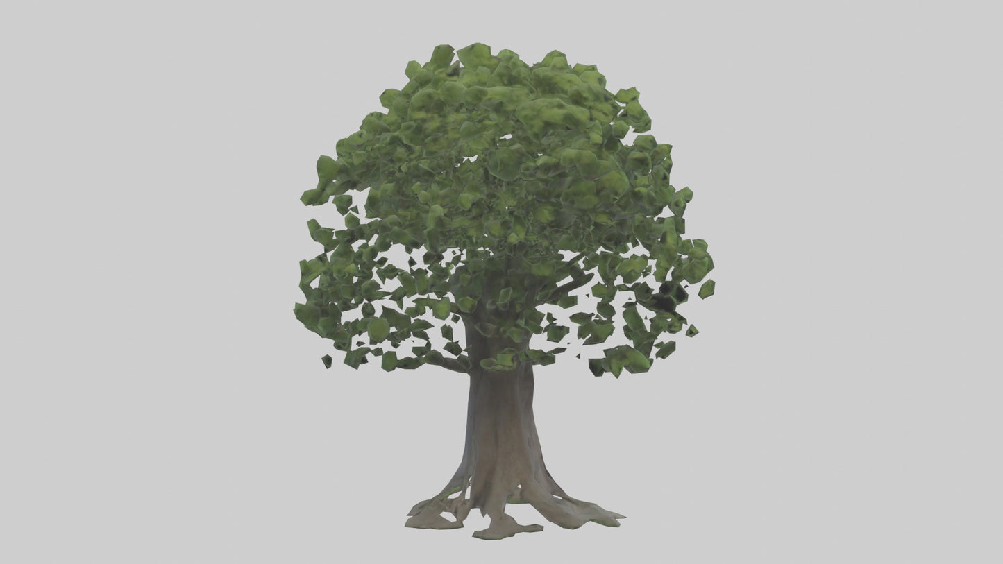 Elderberry tree model 3D model
