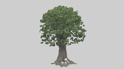 Elderberry tree model 3D model