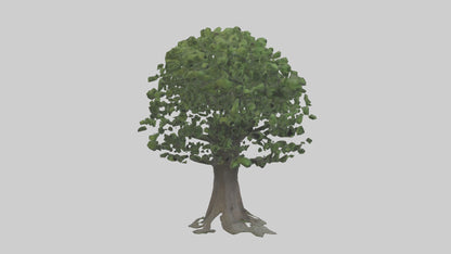 Elderberry tree model 3D model
