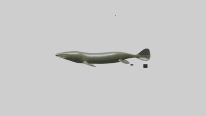 Electric Eel swimming model 3D model