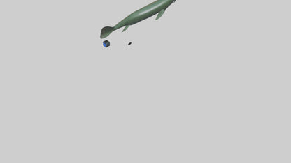 Electric Eel swimming model 3D model