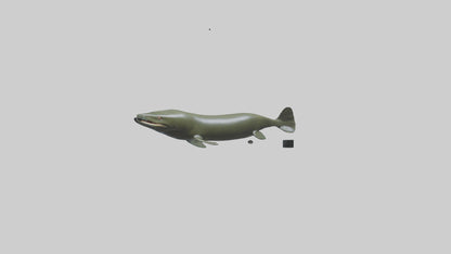 Electric Eel swimming model 3D model