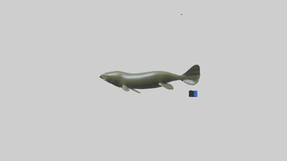 Electric Eel swimming model 3D model