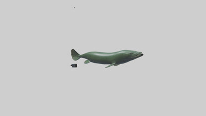 Electric Eel swimming model 3D model
