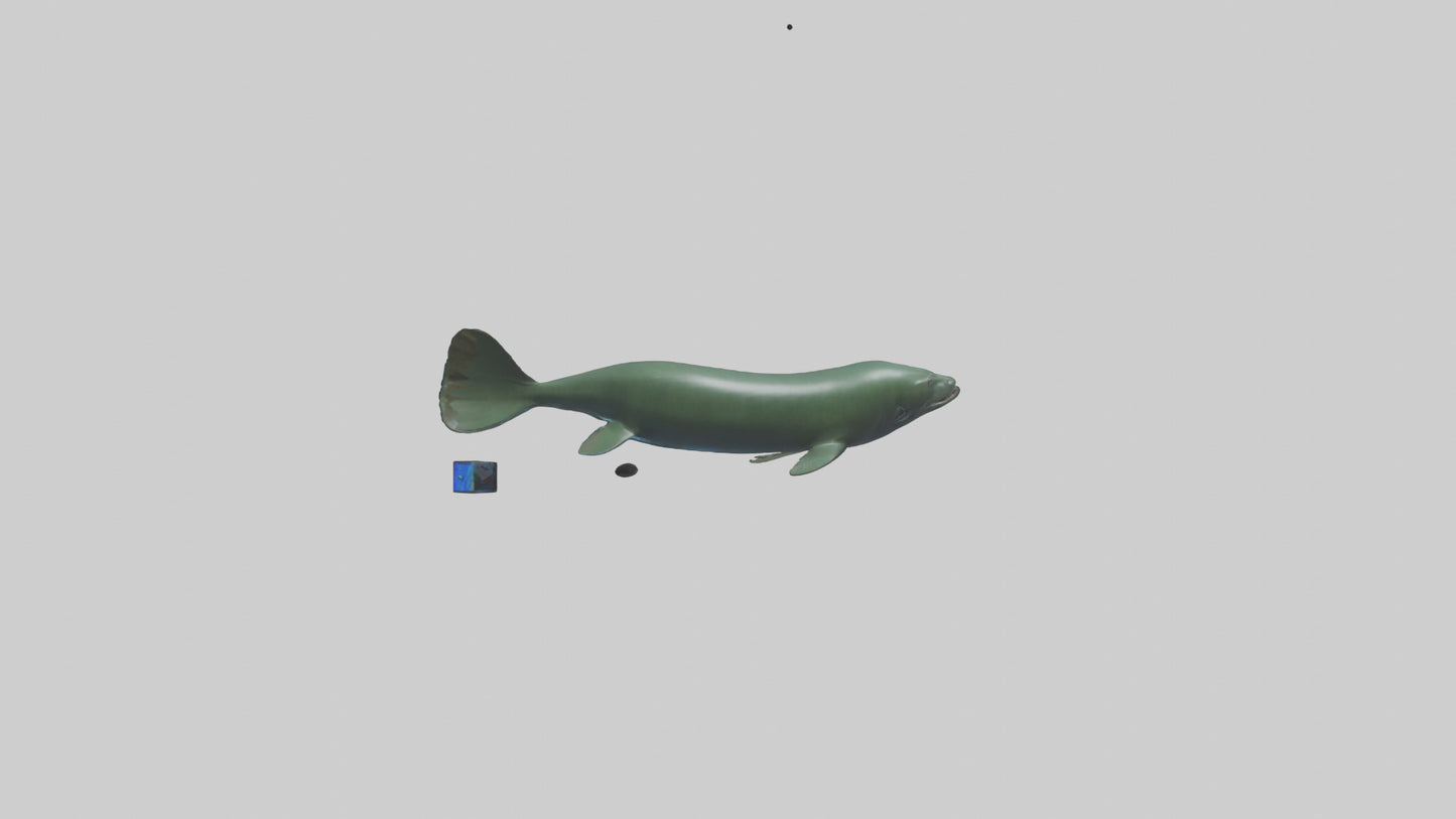 Electric Eel swimming model 3D model