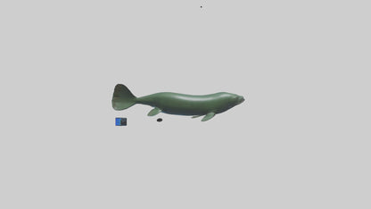 Electric Eel swimming model 3D model