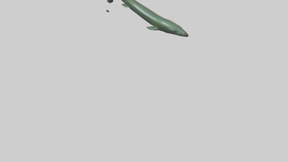 Electric Eel swimming model 3D model