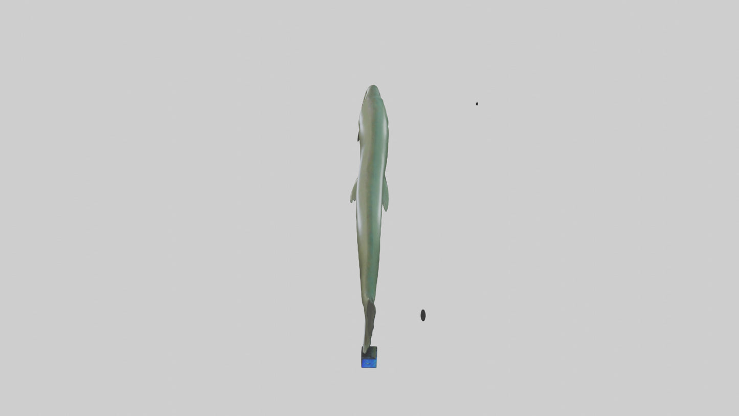 Electric Eel swimming model 3D model