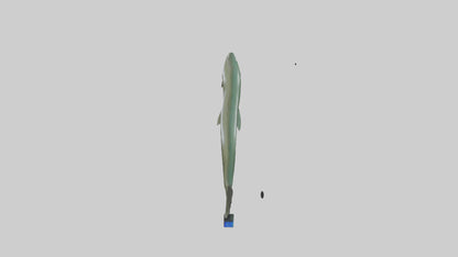 Electric Eel swimming model 3D model